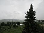 Podsedice