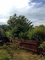 Fotografie