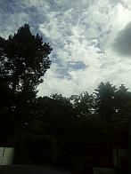Valtice