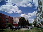 Borovina
