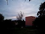 Borovina