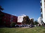 Borovina