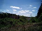 Borovina