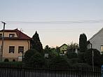 Třibřichy