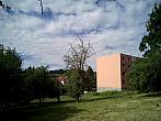 Borovina