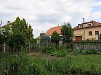 Třibřichy