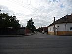 Třibřichy