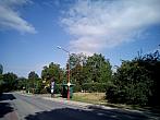 Borovina