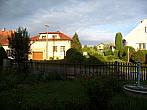 Třibřichy