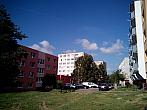 Borovina
