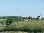 Třibřichy