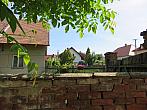 Třibřichy