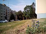 Borovina