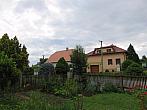 Třibřichy