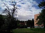 Borovina