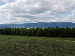 Strupčice