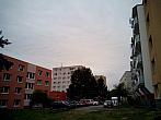 Borovina
