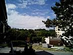 Borovina