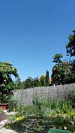Horní Bříza