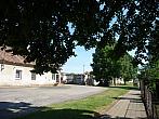 Třibřichy