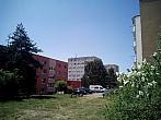 Borovina