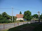 Třibřichy