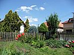 Třibřichy