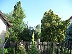 Třibřichy