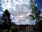 Borovina