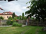 Třibřichy