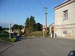 Třibřichy