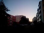 Borovina