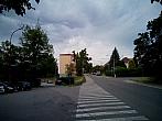 Borovina