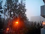Borovina