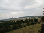 Podsedice