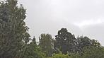 Dalovice