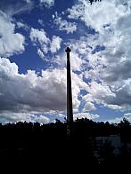 Borovina