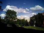 Borovina