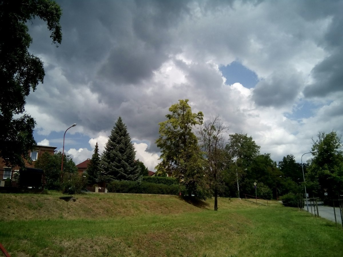 Borovina