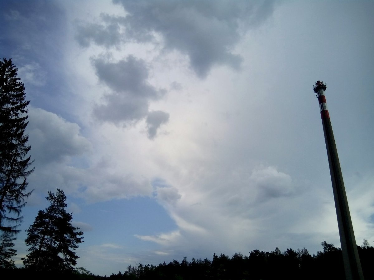Borovina