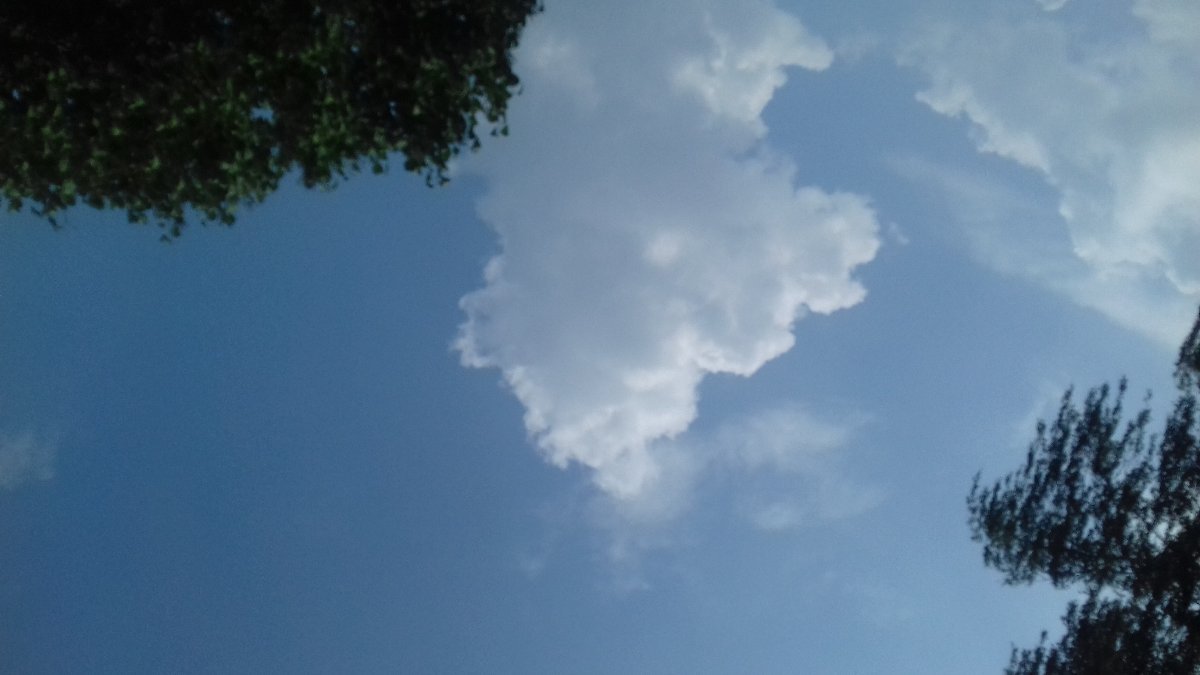 Luby