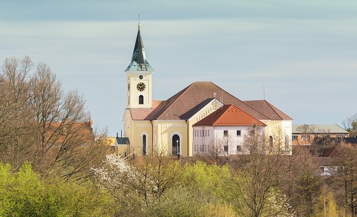 Lišov