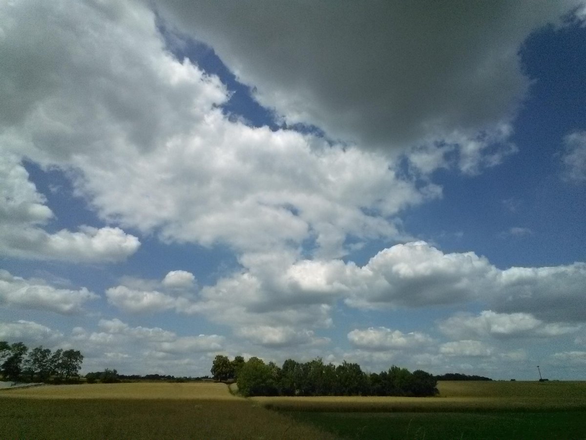 Luže