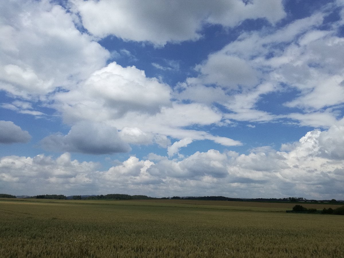 Hostákov