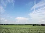 Hostákov