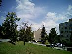 Borovina