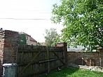 Třibřichy