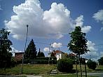 Borovina