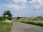 Třibřichy