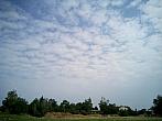 Borovina